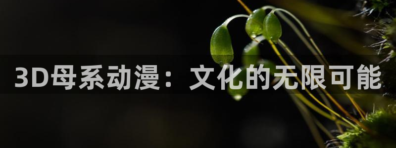 风车动漫那：3D母系动漫：文化的无限可能